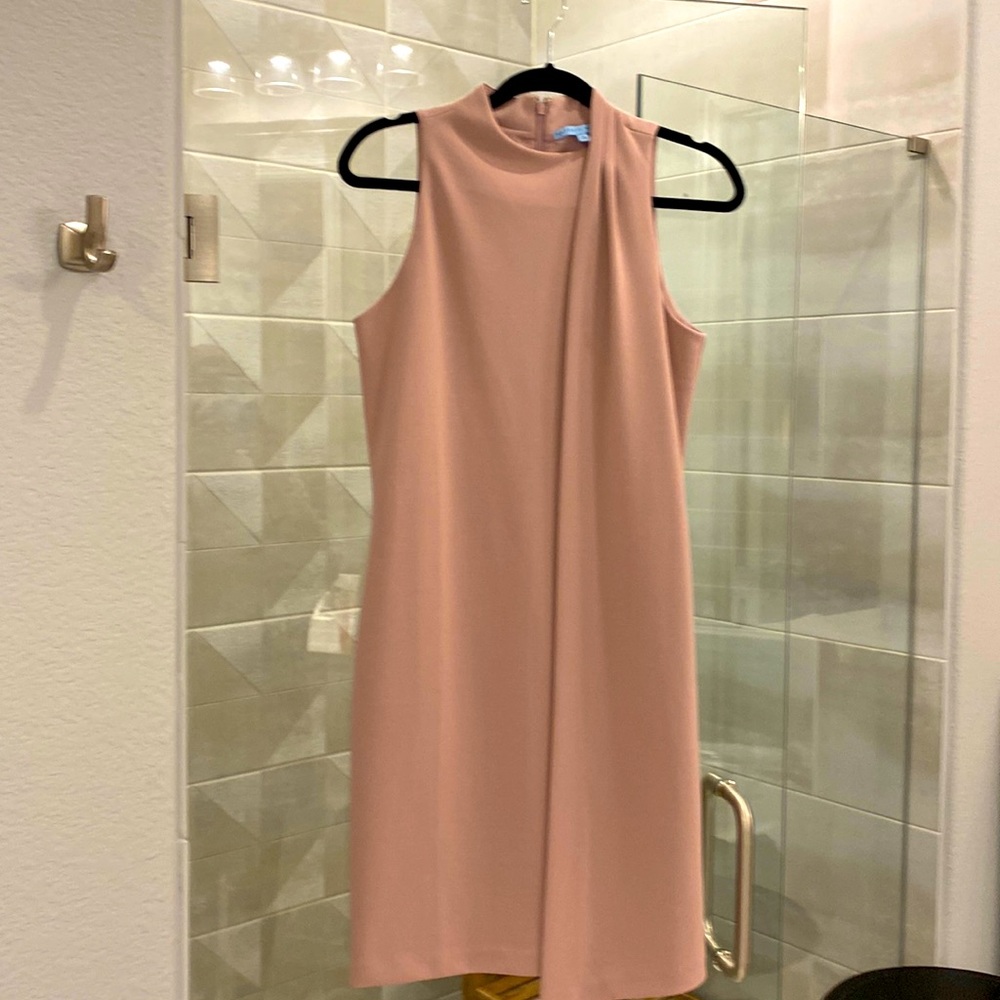 Blush Antonio Melani dress